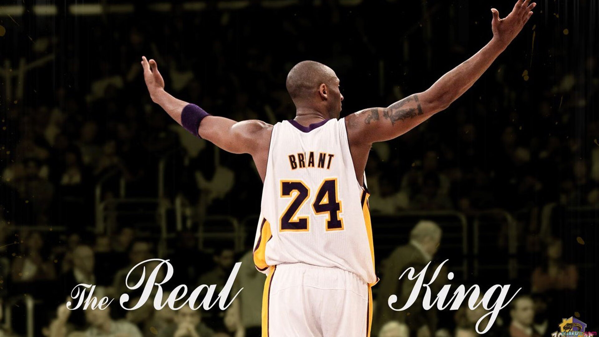 ac米兰下载-从美网逆转到戴维斯杯救赎，兹维列夫如何用坚韧点燃赛场